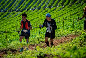 BIB: 2036
                            <button type="button" onclick="openModal(19162133)" class="btn btn-primary btn-sm float-right btn-popup" data-toggle="modal" data-target=".modal-high-quality">
                        <i class="fas fa-shopping-cart"></i> Add to Cart
                    </button>
                                            <button type="button" onclick="isThisMe(19162133, true)" class="btn btn-success btn-sm float-right btn-popup btn-isme hidden" data-toggle="tooltip" data-placement="bottom" title="นี่คือรูปของคุณใช่ไหม คลิกที่นี่เพื่อเอาเข้าอัลบั้ม">
                        <i class="fas fa-plus"></i> Add to album
                    </button>
                    <button type="button" onclick="isThisMe(19162133, false)" class="btn btn-warning btn-sm float-right btn-popup btn-isnotme hidden">
                        <i class="fas fa-ban"></i> Remove from album
                    </button>